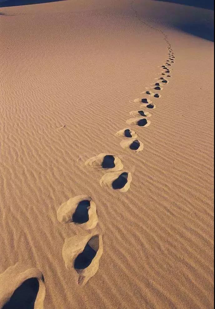 人生就是博·(中国区)官方网站