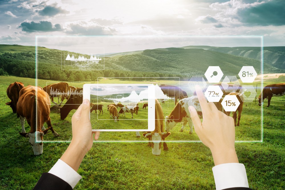 人生就是博·(中国区)官方网站