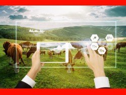 人生就是博·(中国区)官方网站